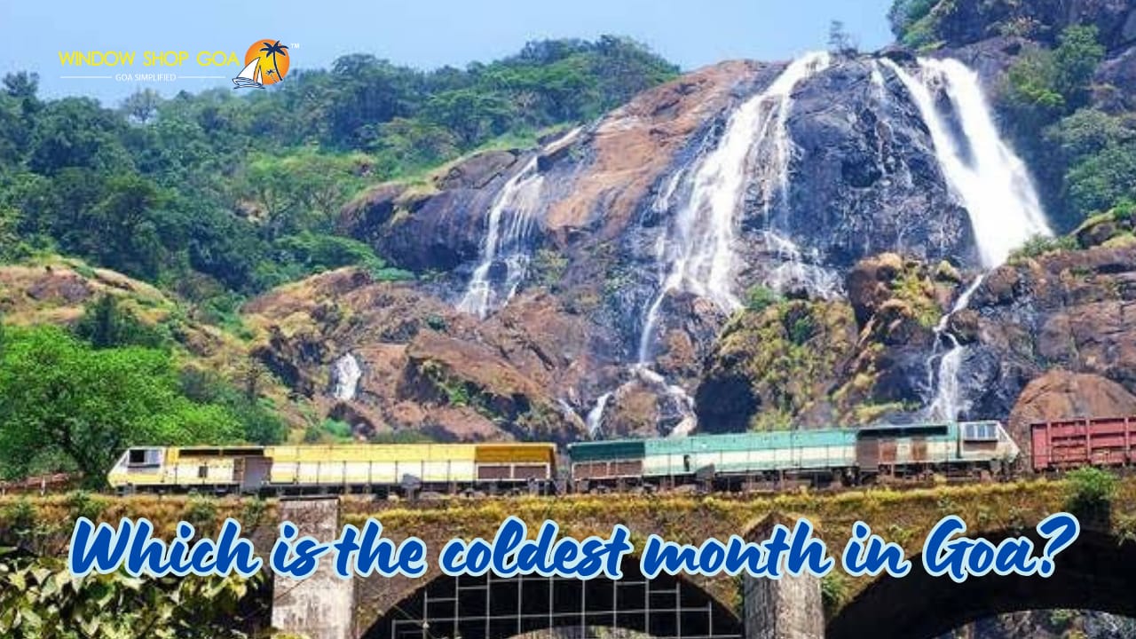 Which is the coldest month in Goa?